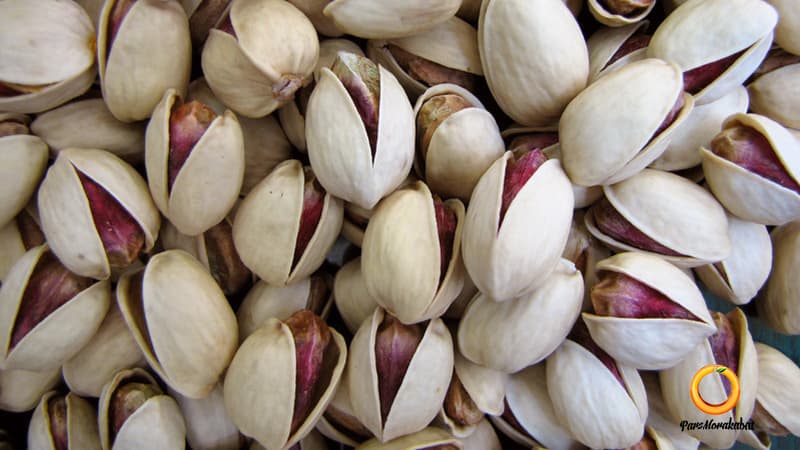 پسته کله قوچی